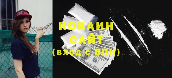 прущий лед Инсар
