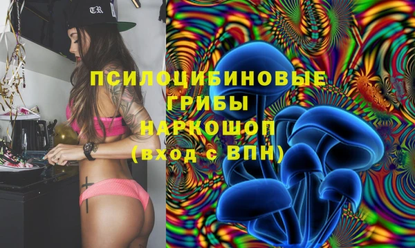 ECSTASY Елабуга
