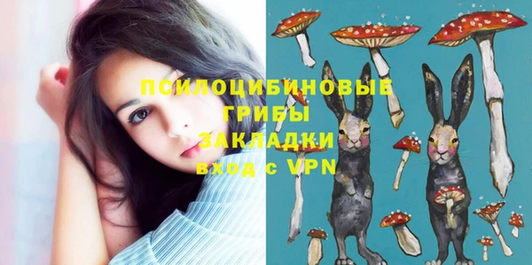 бутират Инта