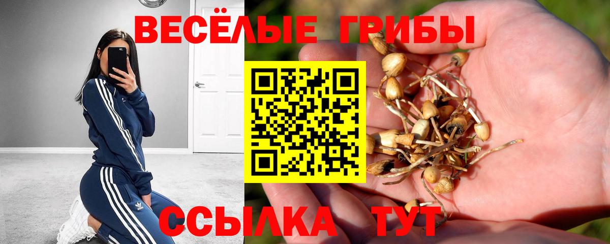 Галлюциногенные грибы MAGIC MUSHROOMS  Вход с VPN  Петропавловск-Камчатский 